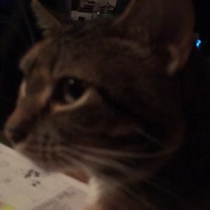 Meet your Posher, Jennifer